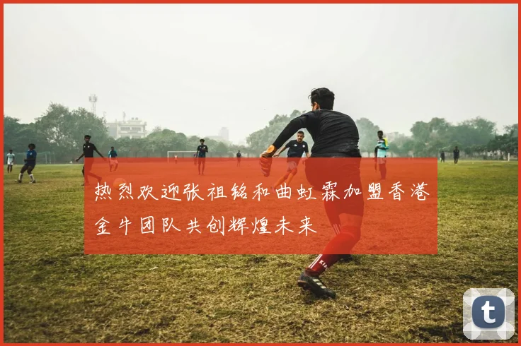 热烈欢迎张祖铭和曲虹霖加盟香港金牛团队共创辉煌未来