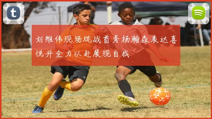 刘维伟现场观战首秀杨瀚森表达喜悦并全力以赴展现自我