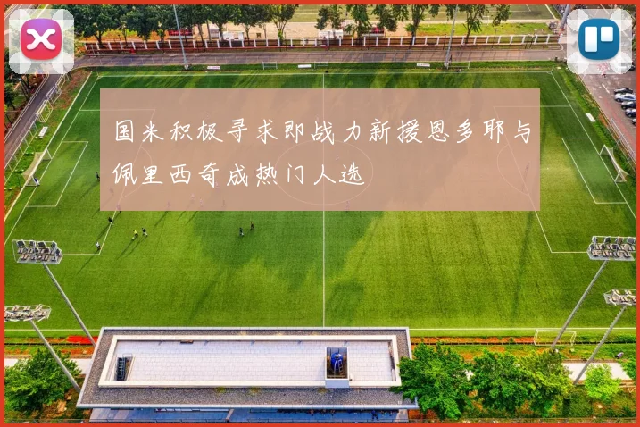 国米积极寻求即战力新援恩多耶与佩里西奇成热门人选