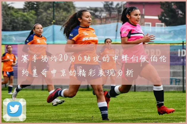 赛季场均20分6助攻的中锋们张伯伦约基奇申京的精彩表现分析