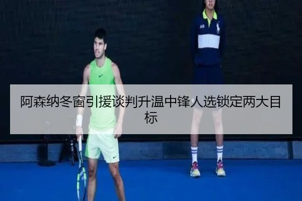 阿森纳冬窗引援谈判升温中锋人选锁定两大目标 | TIANBOSPORTS